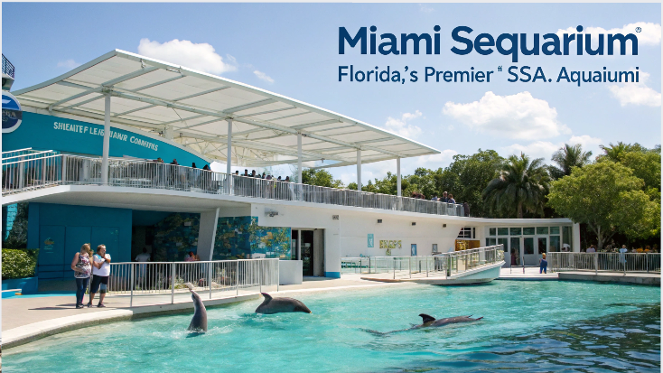 Why is Miami Seaquarium Considered Florida’s Premier Aquarium?